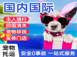 柳州机场快递国际宠物托运 【国